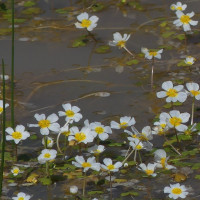 Voyage Route Moto Maroc