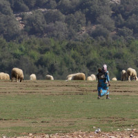 Voyage Route Moto Maroc