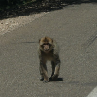 Voyage Route Moto Maroc