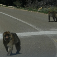 Voyage Route Moto Maroc