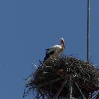 Voyage Route Moto Maroc