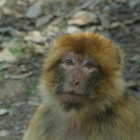 Voyage Route Moto Maroc