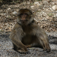 Voyage Route Moto Maroc