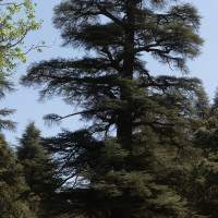 Voyage Route Moto Maroc