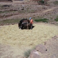Rando Raid Maroc