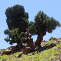 Rando Raid Maroc