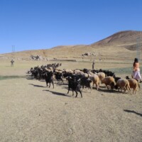 Rando Raid Maroc