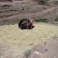Raid Moto Maroc
